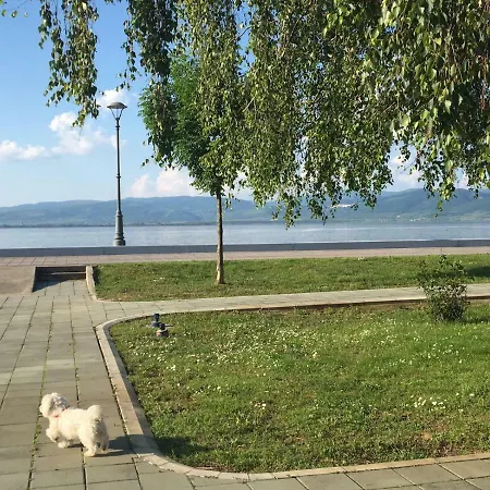 Διαμέρισμα Vidikovac